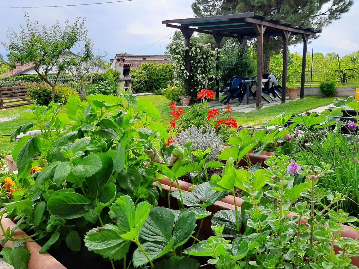 Вилла Cascina Teresina Monferrato Piscina Cortazzone Экстерьер фото