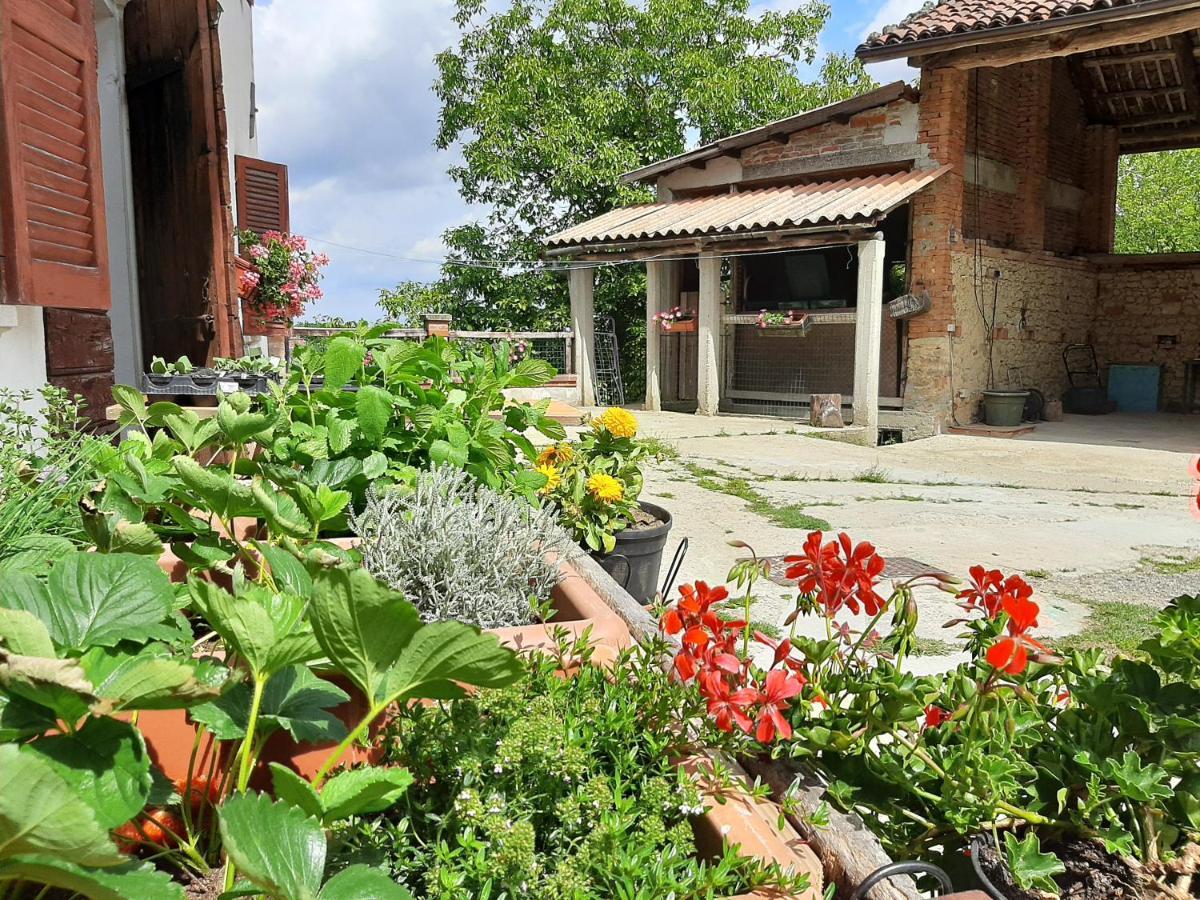 Вилла Cascina Teresina Monferrato Piscina Cortazzone Экстерьер фото